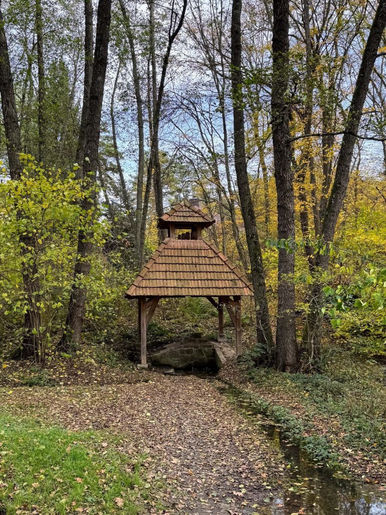 Harangláb a Vadása-tónál